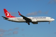 Turkish Airlines Boeing 737-8 MAX (TC-LCF) at  Hamburg - Fuhlsbuettel (Helmut Schmidt), Germany