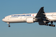 Turkish Airlines Boeing 777-36N(ER) (TC-LKA) at  London - Heathrow, United Kingdom