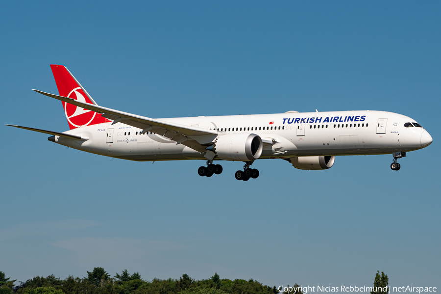 Turkish Airlines Boeing 787-9 Dreamliner (TC-LLA) | Photo 389468