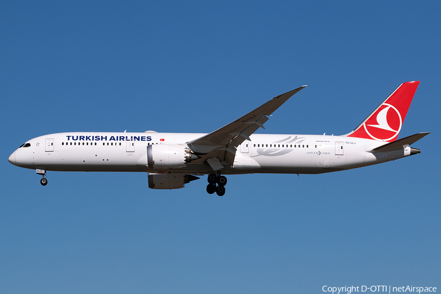 Turkish Airlines Boeing 787-9 Dreamliner (TC-LLJ) | Photo 538799