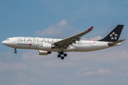 Turkish Airlines Airbus A330-223 (TC-LNB) at  Frankfurt am Main, Germany