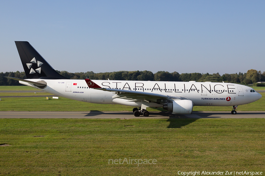 Turkish Airlines Airbus A330-223 (TC-LNB) | Photo 391251