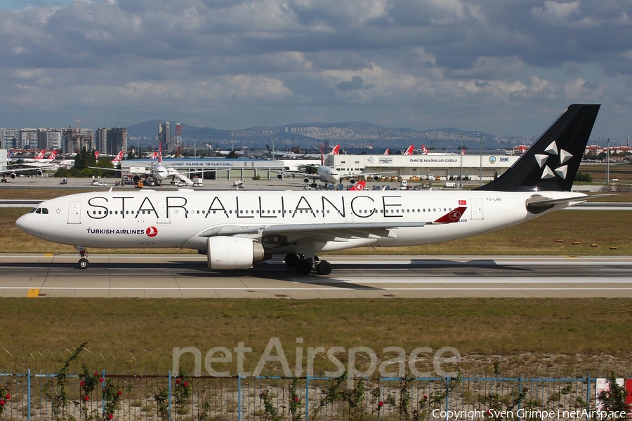 Turkish Airlines Airbus A330-223 (TC-LNB) | Photo 282232