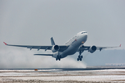 Turkish Airlines Airbus A330-223 (TC-LNB) at  Berlin - Tegel, Germany