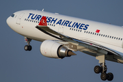 Turkish Airlines Airbus A330-303 (TC-LND) at  Amsterdam - Schiphol, Netherlands