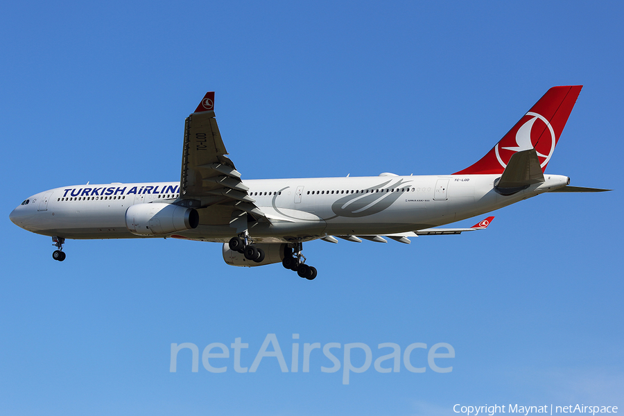 Turkish Airlines Airbus A330-343 (TC-LOD) | Photo 202344