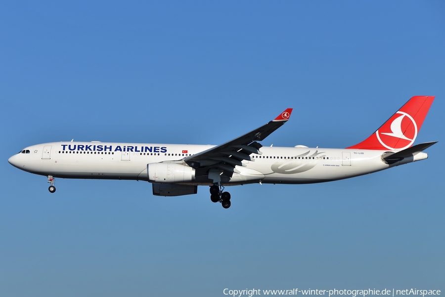Turkish Airlines Airbus A330-343 (TC-LOD) | Photo 445594