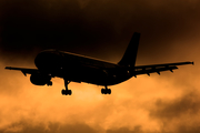 MNG Cargo Airlines Airbus A300B4-605R(F) (TC-MCE) at  Tenerife Norte - Los Rodeos, Spain