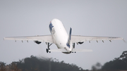 MNG Cargo Airlines Airbus A300B4-605R(F) (TC-MCE) at  Tenerife Norte - Los Rodeos, Spain