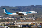 MNG Cargo Airlines Airbus A300C4-605R (TC-MNV) at  Gran Canaria, Spain