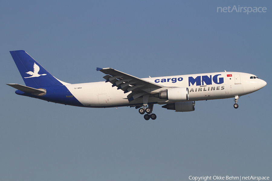 MNG Cargo Airlines Airbus A300C4-605R (TC-MNV) | Photo 43842