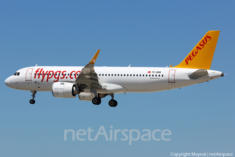 Pegasus Airlines Airbus A320-251N (TC-NBB) | Photo 208882