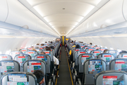 Pegasus Airlines Airbus A320-251N (TC-NBB) at  In Flight, Turkey