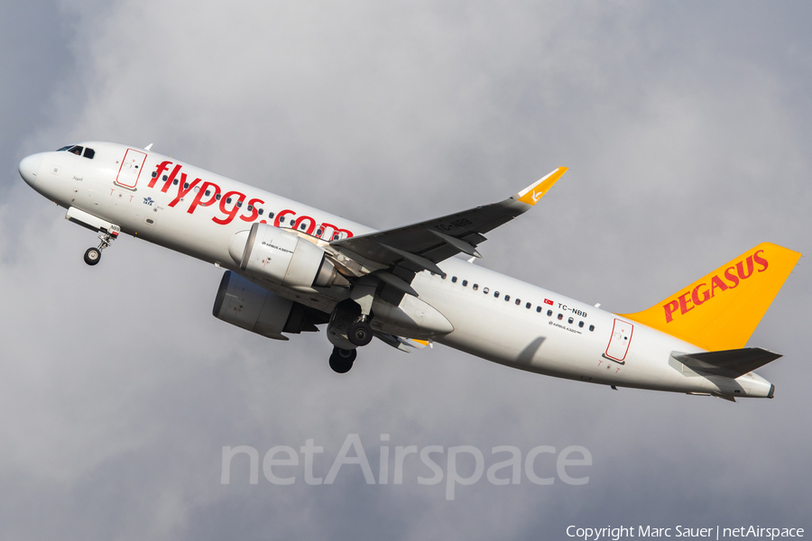Pegasus Airlines Airbus A320-251N (TC-NBB) | Photo 362433