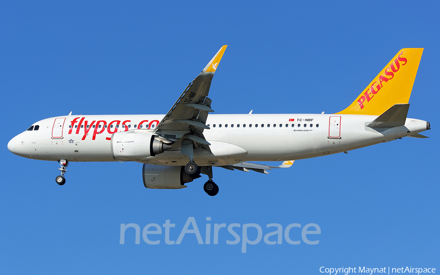 Pegasus Airlines Airbus A320-251N (TC-NBF) | Photo 273791