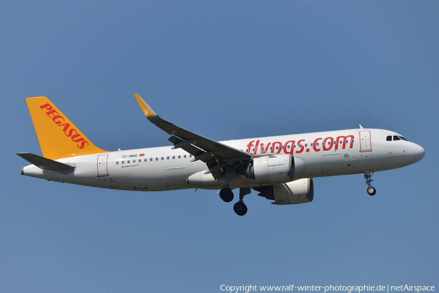 Pegasus Airlines Airbus A320-251N (TC-NBG) | Photo 380014