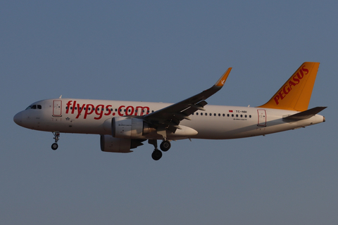 Pegasus Airlines Airbus A320-251N (TC-NBI) at  Frankfurt am Main, Germany