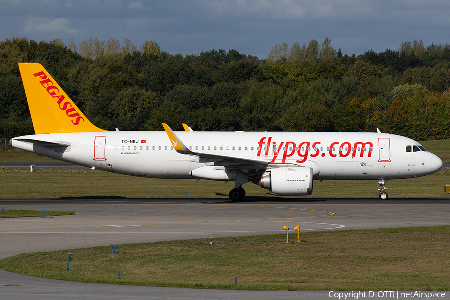 Pegasus Airlines Airbus A320-251N (TC-NBJ) | Photo 266397