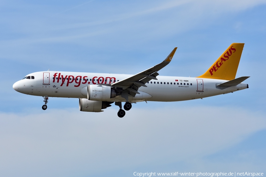 Pegasus Airlines Airbus A320-251N (TC-NBK) | Photo 498356