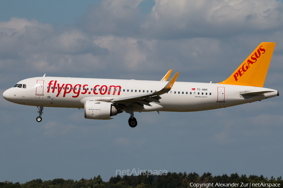 Pegasus Airlines Airbus A320-251N (TC-NBK) | Photo 344020