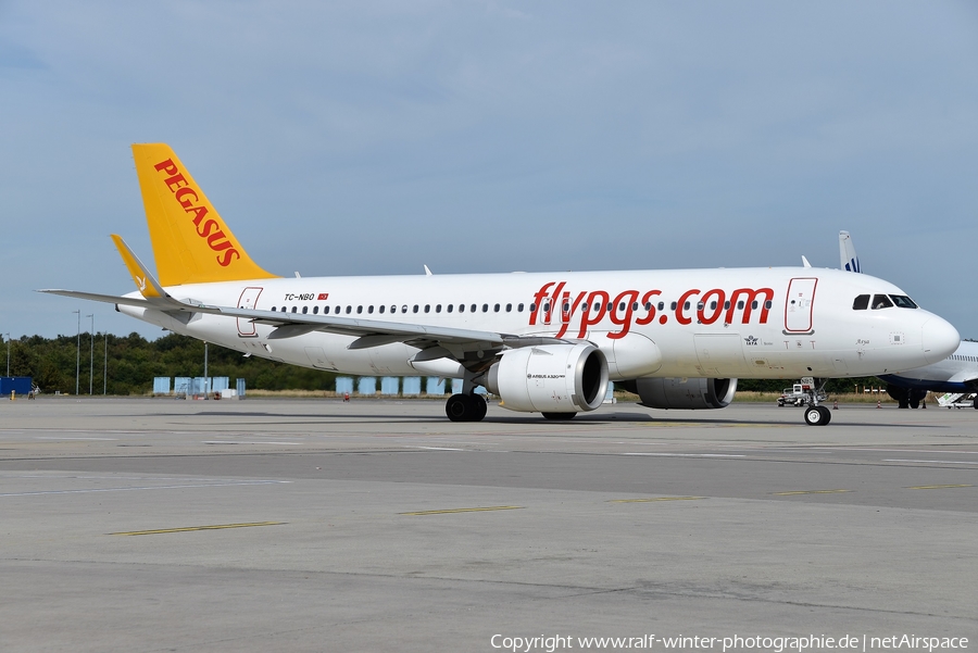 Pegasus Airlines Airbus A320-251N (TC-NBO) | Photo 401761