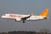 Pegasus Airlines Airbus A320-251N (TC-NBP) at  Hamburg - Fuhlsbuettel (Helmut Schmidt), Germany