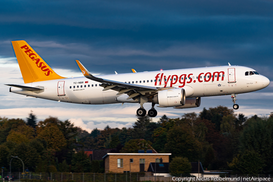 Pegasus Airlines Airbus A320-251N (TC-NBR) | Photo 407193