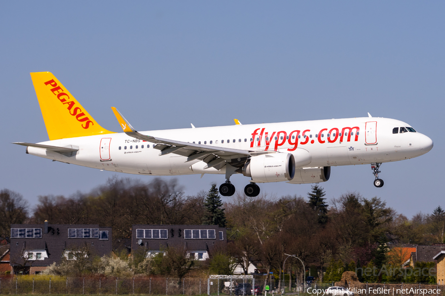 Pegasus Airlines Airbus A320-251N (TC-NBS) | Photo 443340