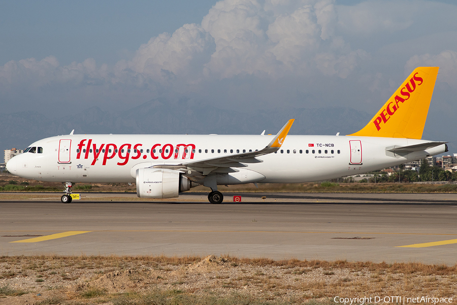 Pegasus Airlines Airbus A320-251N (TC-NCB) | Photo 599685