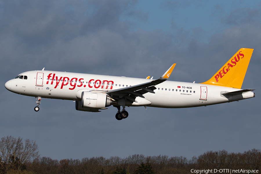 Pegasus Airlines Airbus A320-251N (TC-NCB) | Photo 376913