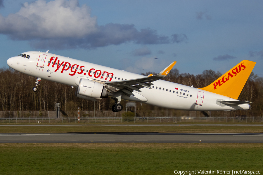 Pegasus Airlines Airbus A320-251N (TC-NCB) | Photo 502786