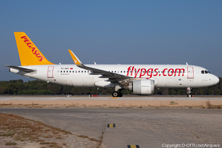 Pegasus Airlines Airbus A320-251N (TC-NCF) | Photo 591874