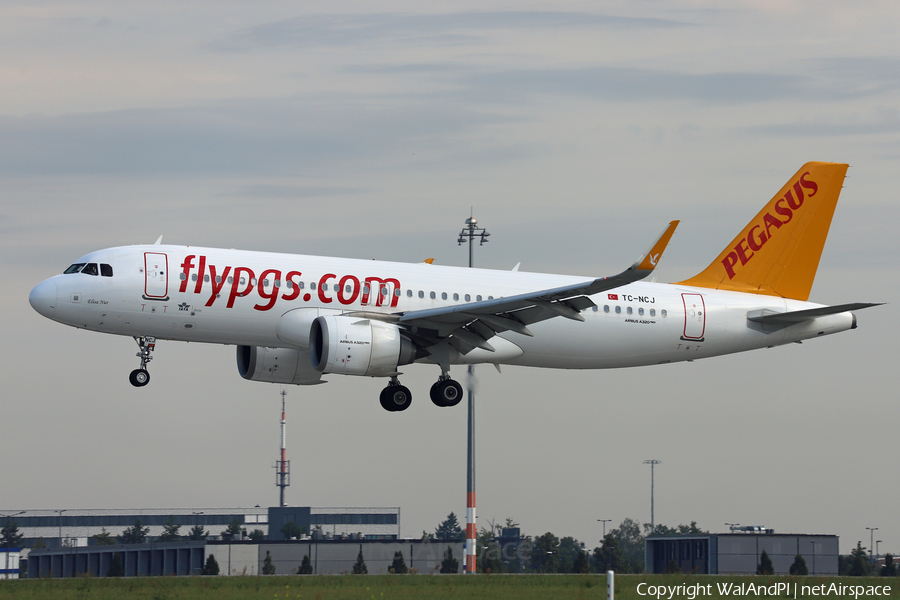 Pegasus Airlines Airbus A320-251N (TC-NCJ) | Photo 466125