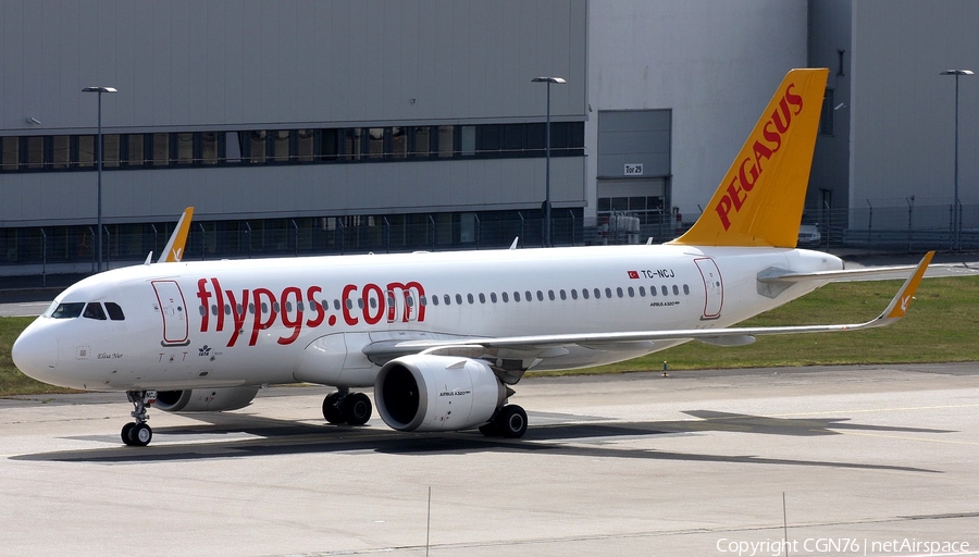 Pegasus Airlines Airbus A320-251N (TC-NCJ) | Photo 441546