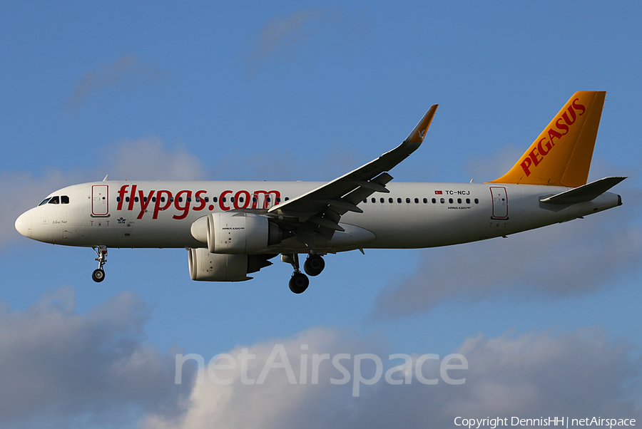 Pegasus Airlines Airbus A320-251N (TC-NCJ) | Photo 478546