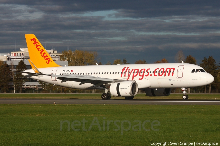 Pegasus Airlines Airbus A320-251N (TC-NCJ) | Photo 535555