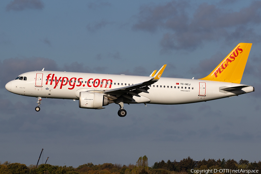 Pegasus Airlines Airbus A320-251N (TC-NCJ) | Photo 535992