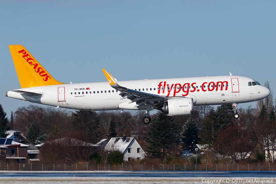 Pegasus Airlines Airbus A320-251N (TC-NCK) | Photo 426672