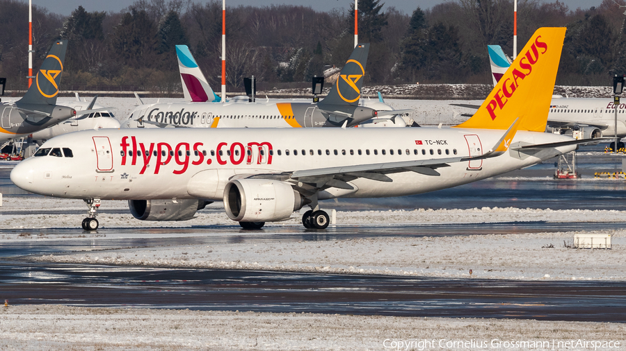 Pegasus Airlines Airbus A320-251N (TC-NCK) | Photo 426760