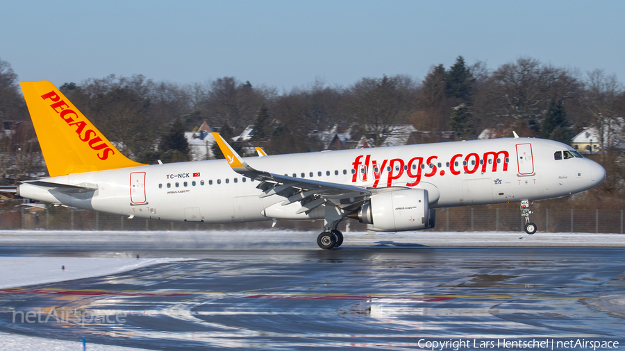 Pegasus Airlines Airbus A320-251N (TC-NCK) | Photo 427033