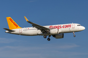 Pegasus Airlines Airbus A320-251N (TC-NCL) at  Hamburg - Fuhlsbuettel (Helmut Schmidt), Germany