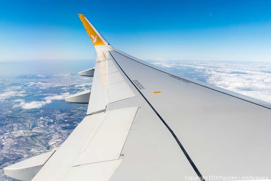 Pegasus Airlines Airbus A320-251N (TC-NCL) | Photo 487879