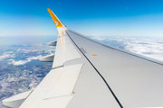 Pegasus Airlines Airbus A320-251N (TC-NCL) at  In Flight, Ukraine