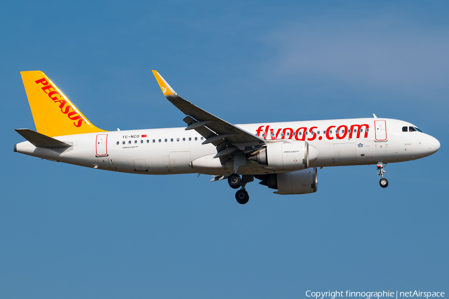 Pegasus Airlines Airbus A320-251N (TC-NCO) | Photo 500257