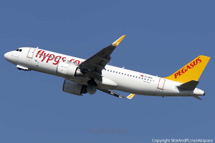 Pegasus Airlines Airbus A320-251N (TC-NCP) | Photo 614088