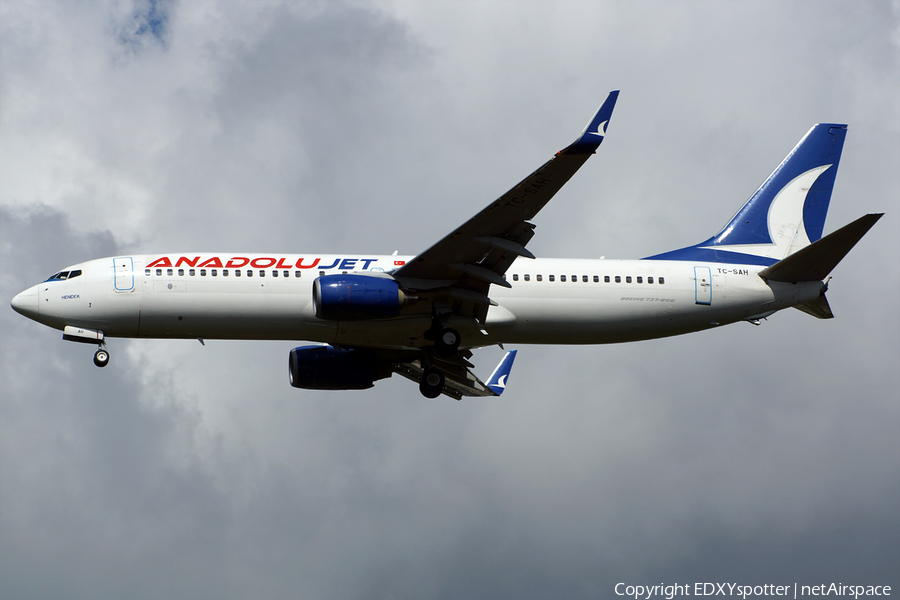 AnadoluJet Boeing 737-8FH (TC-SAH) | Photo 276998