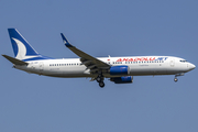 AnadoluJet Boeing 737-86N (TC-SBV) at  Frankfurt am Main, Germany