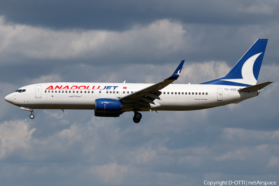 AnadoluJet Boeing 737-8AL (TC-SCF) | Photo 462785