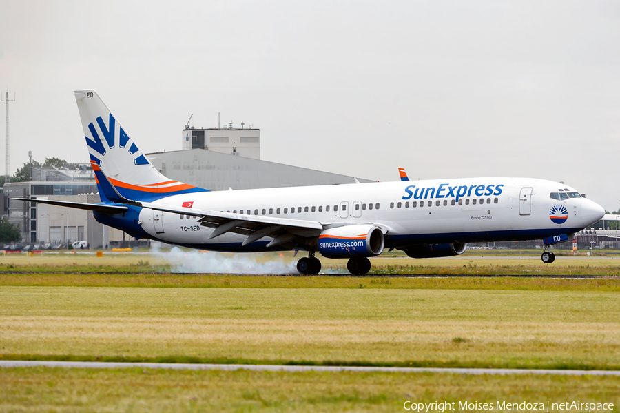 SunExpress Boeing 737-8CX (TC-SED) | Photo 116681