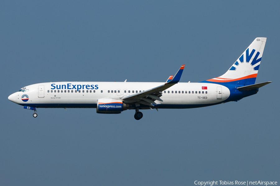 SunExpress Boeing 737-8CX (TC-SED) | Photo 312271